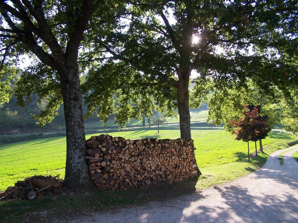 Agriturismo Fontandrone Villa Pieve Santo Stefano Exterior foto